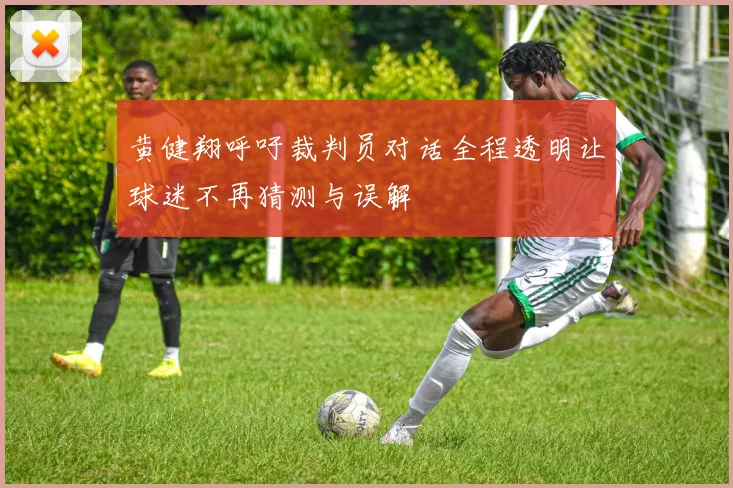 黄健翔呼吁裁判员对话全程透明让球迷不再猜测与误解